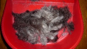 Haare, grau, Kehrschaufel