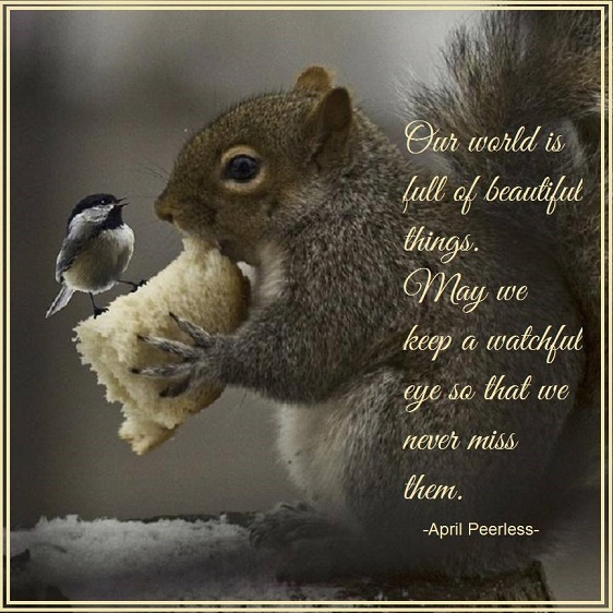 Beautiful things