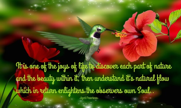 A joy of nature