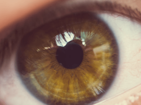 2015-08-25 21.38.25.png image