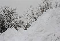 Snowbank