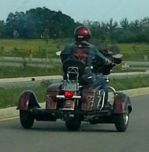 Biker Dude