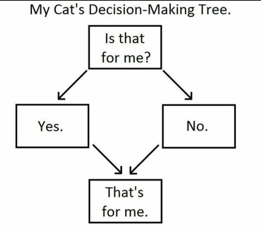 Cat Decision
