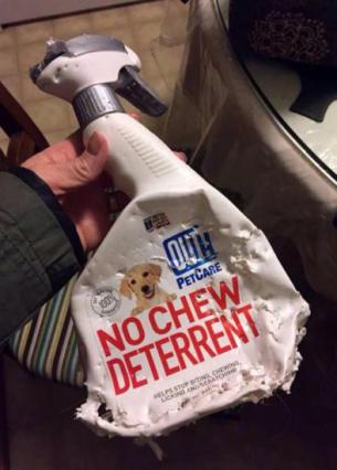 No Chew