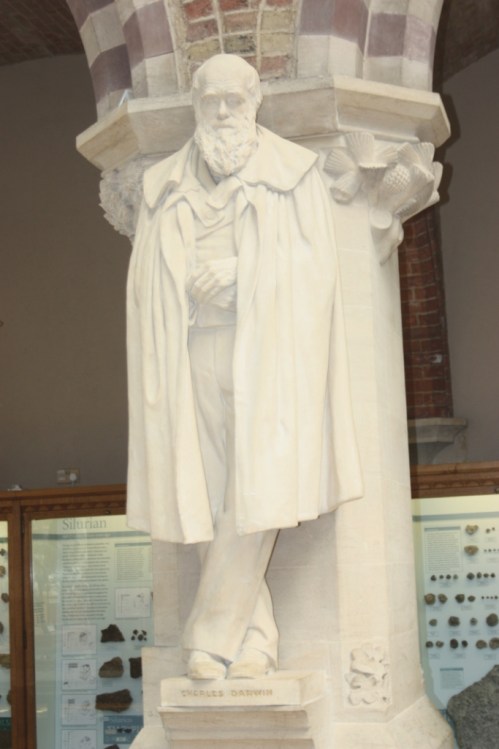 Darwin367