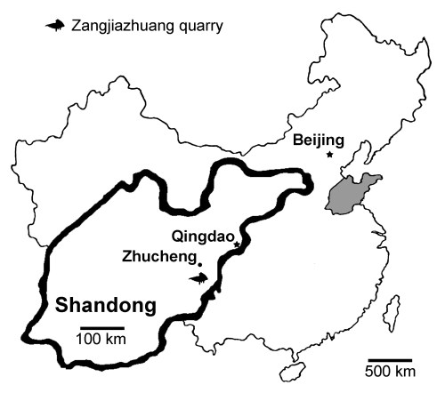 Z map 1