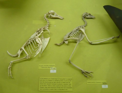 P1020244