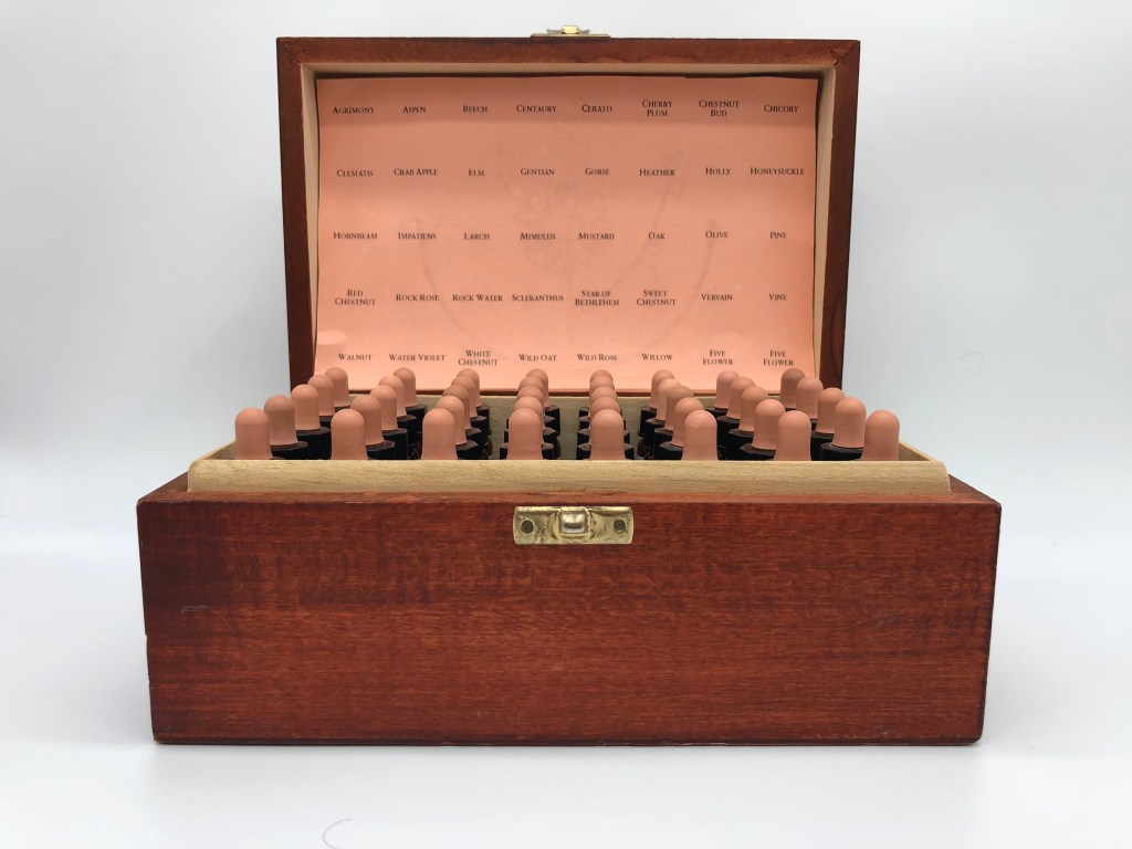 Should I buy a Bach Flower Remedy Kit?