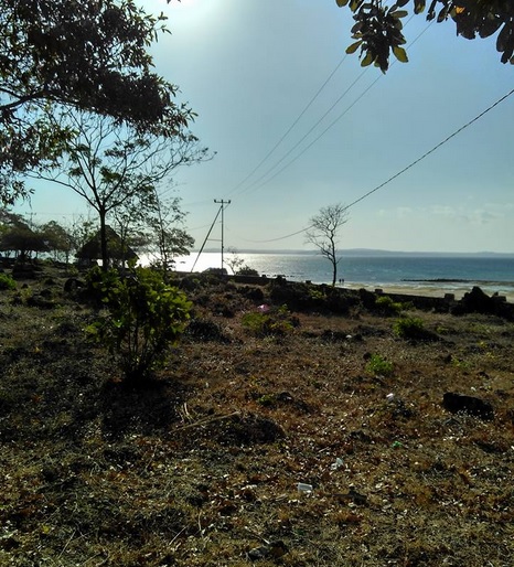 jaringan3