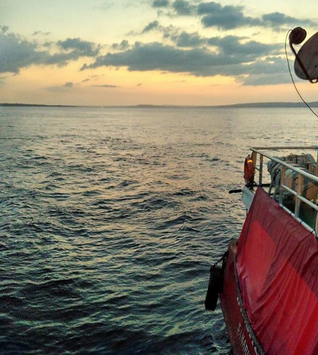 laut1