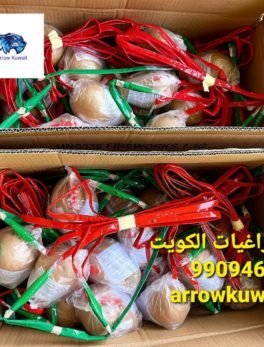 الصفحة الرئيسيه 13 العاب ناريه الكويت للبيع | قم بشراء عبر الإنترنت من Fireworks