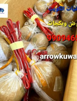 الصفحة الرئيسيه 10 العاب ناريه الكويت
