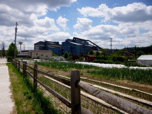 Mills and garden