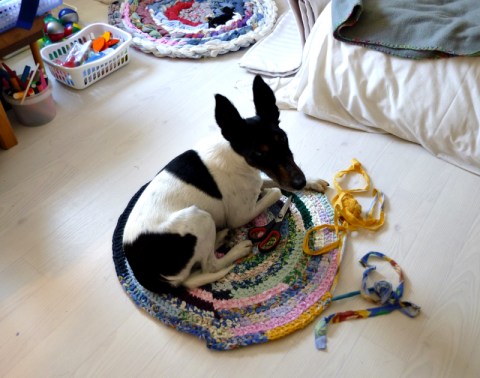 Lucie on rag rug in progress