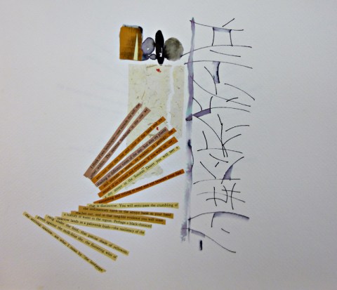 Black throated sparrow (collage, pen and ink)