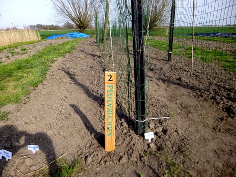 bord peulvruchten