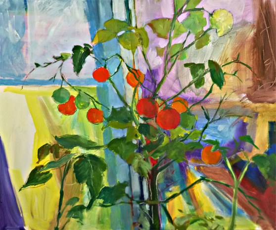 tomato plant 2 copy