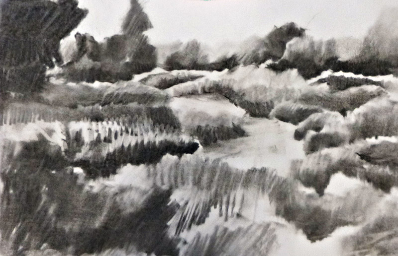 charcoal garden study