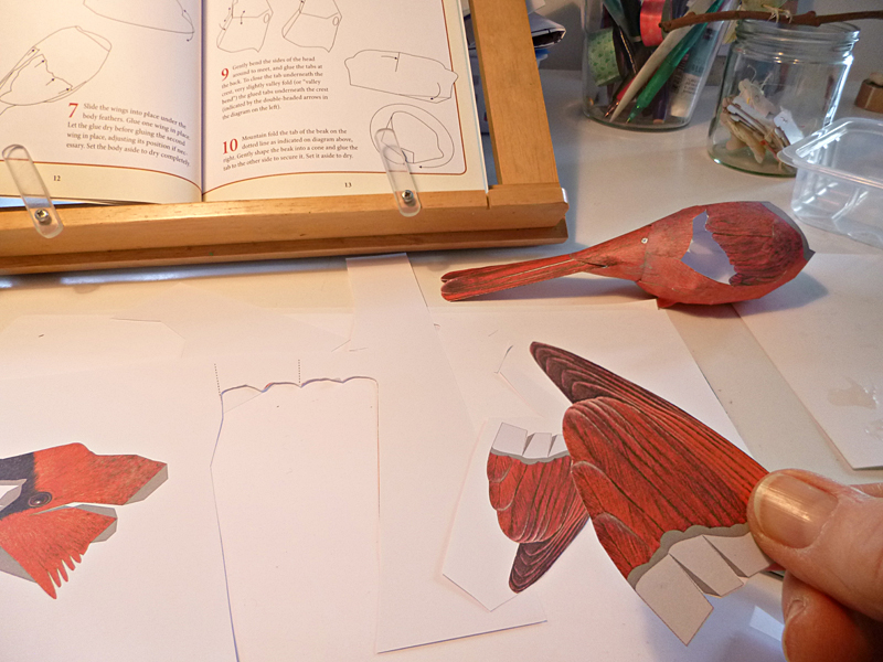 cardinal in progress