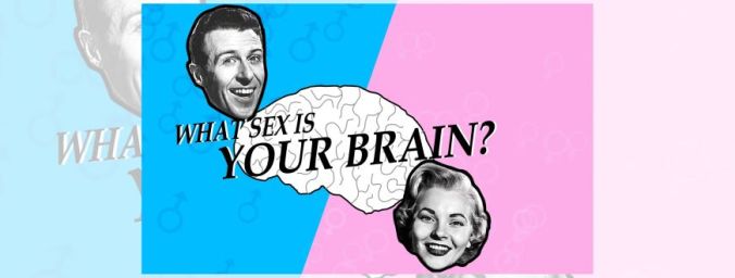 sex-brains