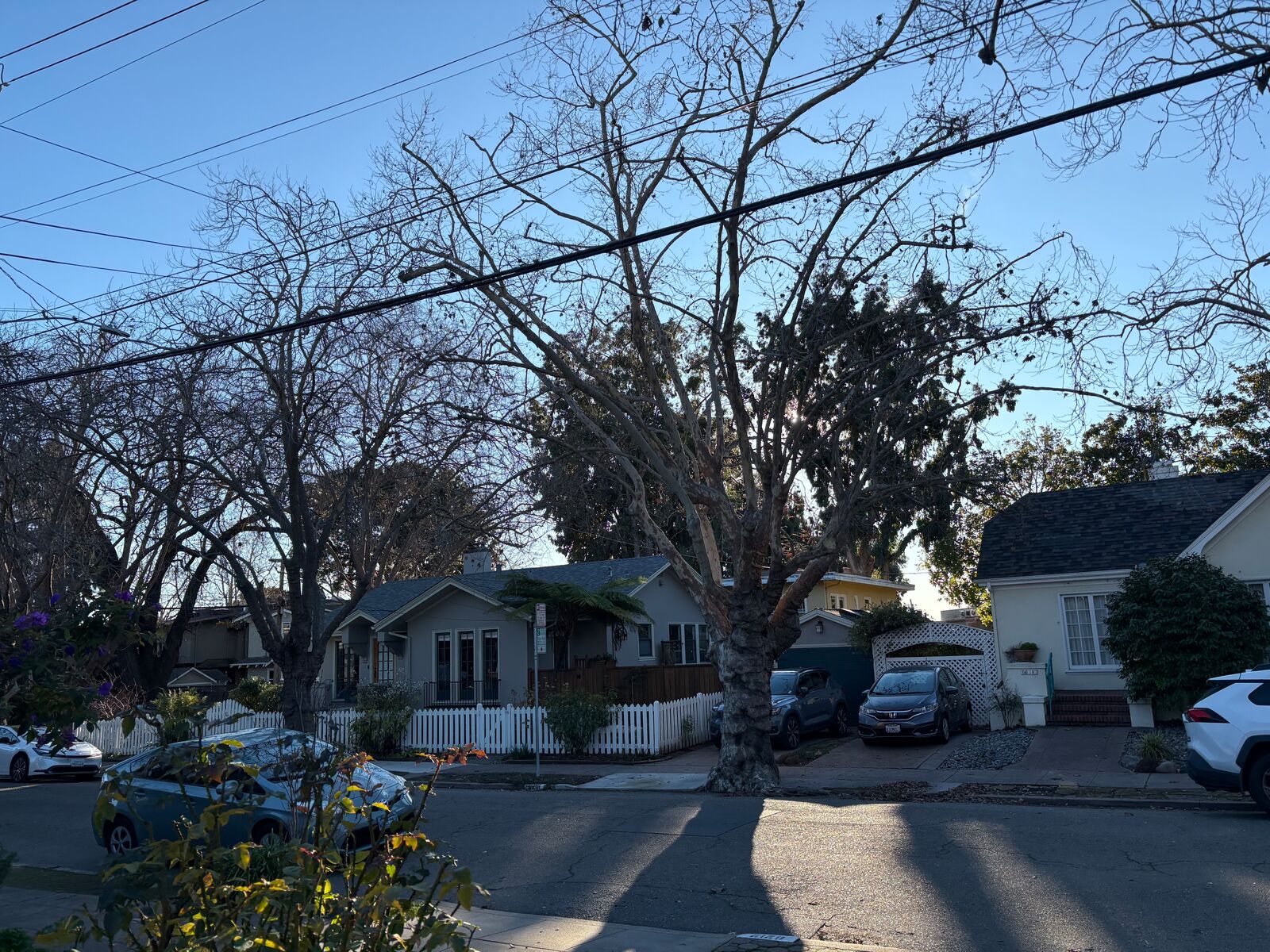 red cross property 3