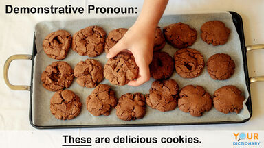 demonstrative pronoun example