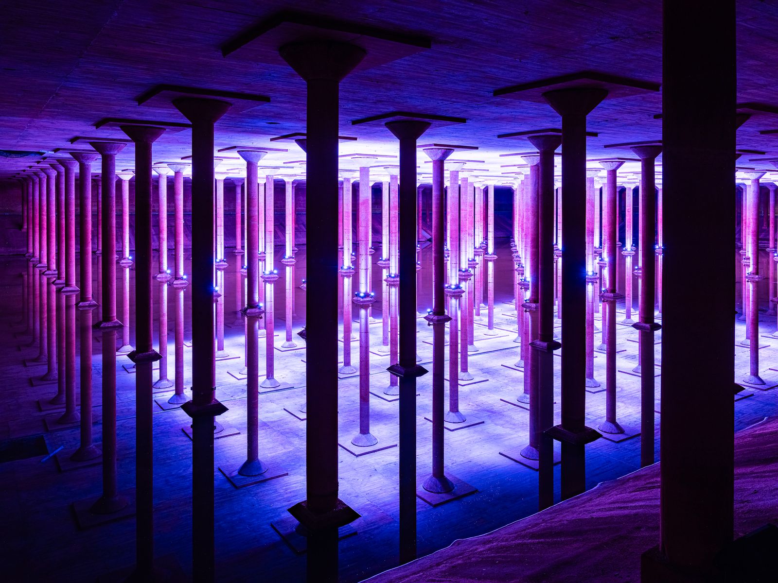 An Insider’s Guide to Houston’s Cultural Scene