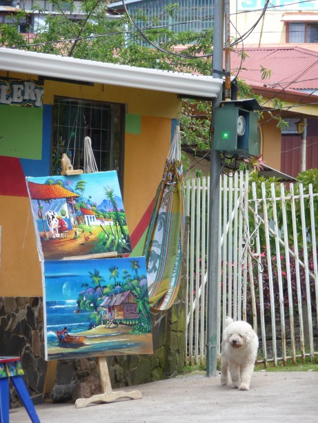 P1050693