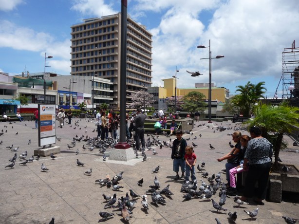 P1050983