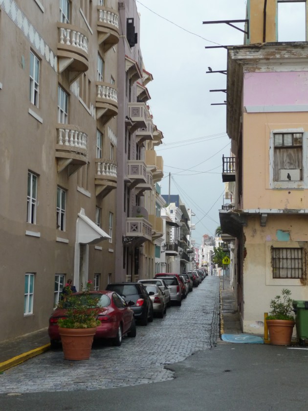 P1060339