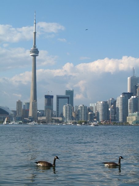 Toronto Ducks