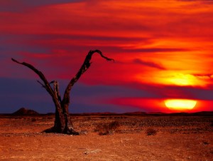 Desert fantasy