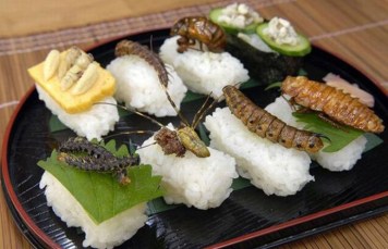 weird-food-7