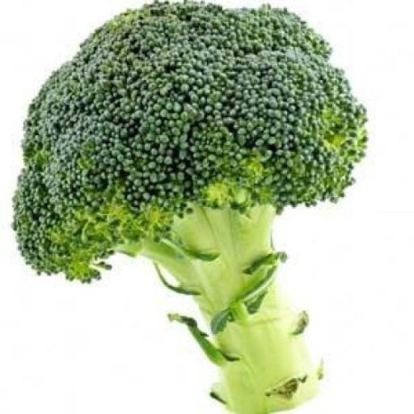 @scottsatkin