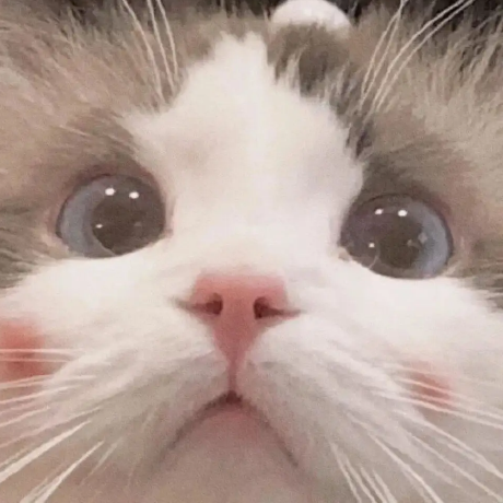@sspboy