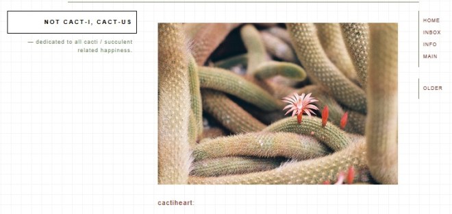 cactiheart