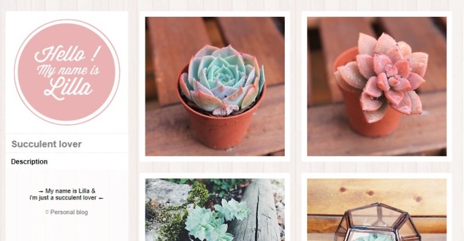 succulent lover