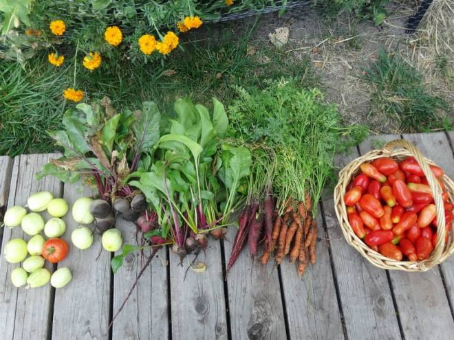 Abundance