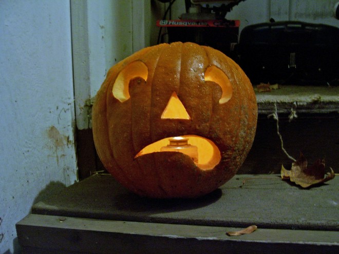Pumpkins are pepos.