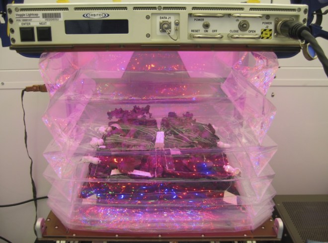Veggie: an expandable plant growth facility designed for the International Space Station - photo credit: NASA/Bryan Onate