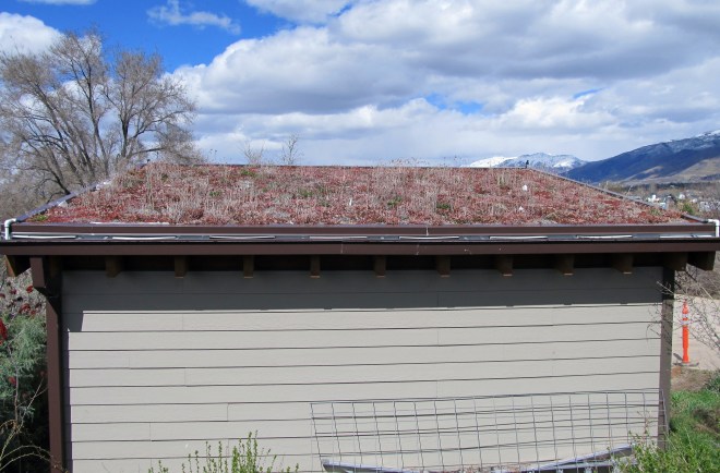 green roof