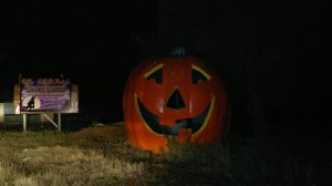 311020115654
