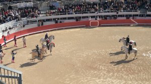 Horses entering the Arles arena