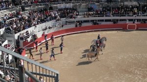 Horses and Matadors