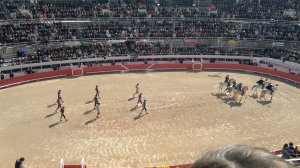 The show of Horses in Arles