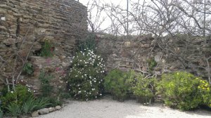 View of Garden Giens 5