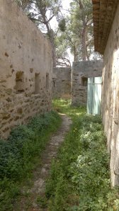 Fort 5