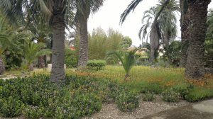garden 3