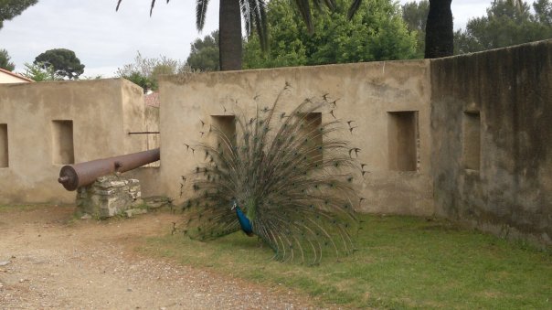 Citadelle St Tropez