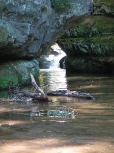 Pewitts Nest